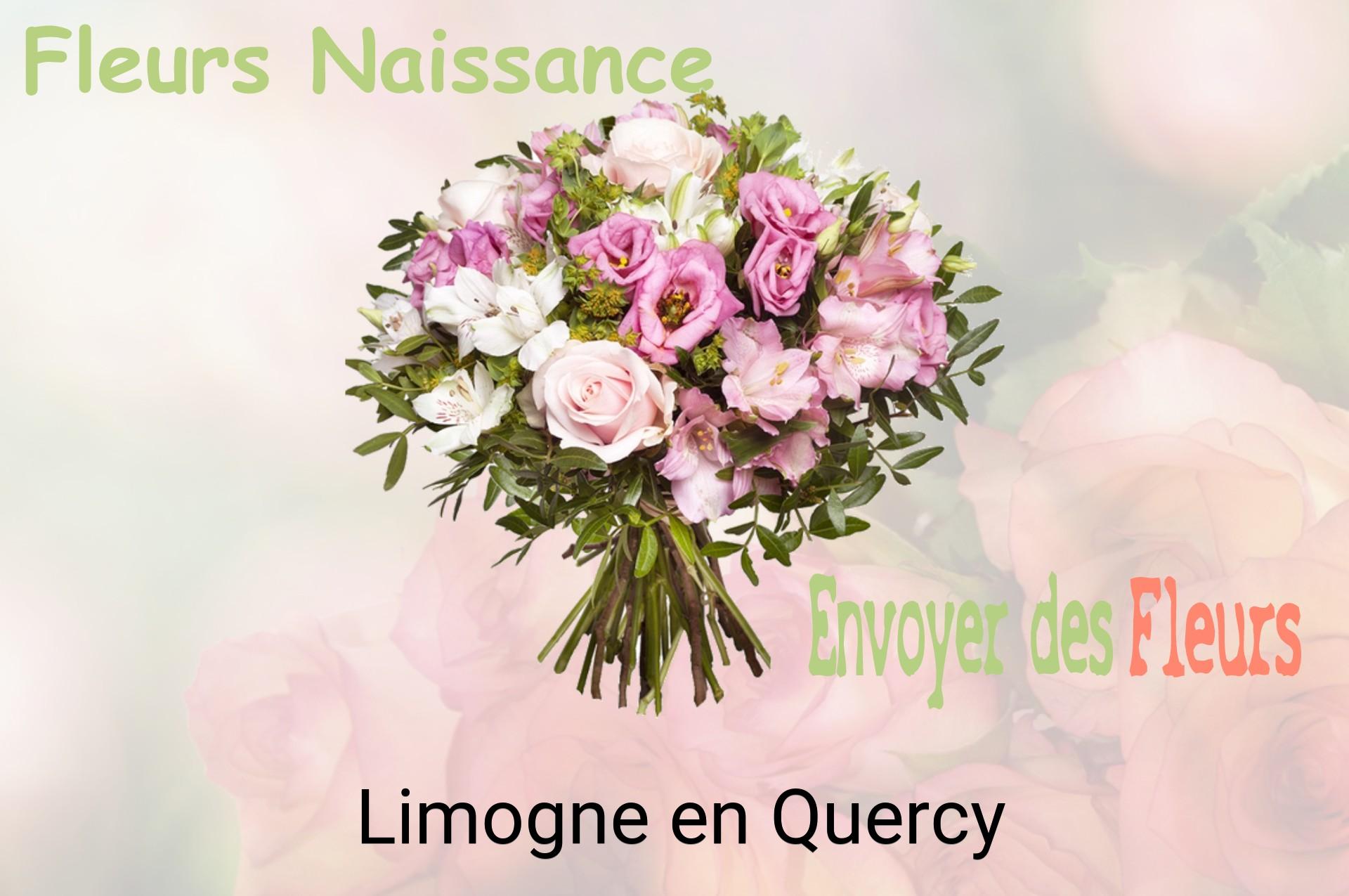 Bouquet de fleurs de naissance livré à Limogne-en-Quercy